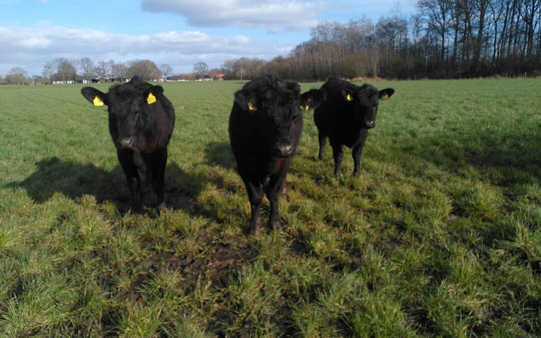 Boerderijovernames als tool voor landbouwtransitie
