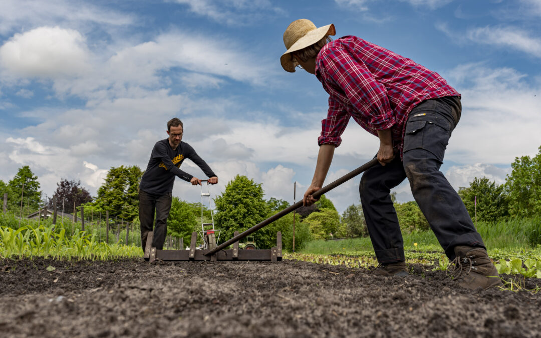 Interview met tuinders van CSA Kansrijk