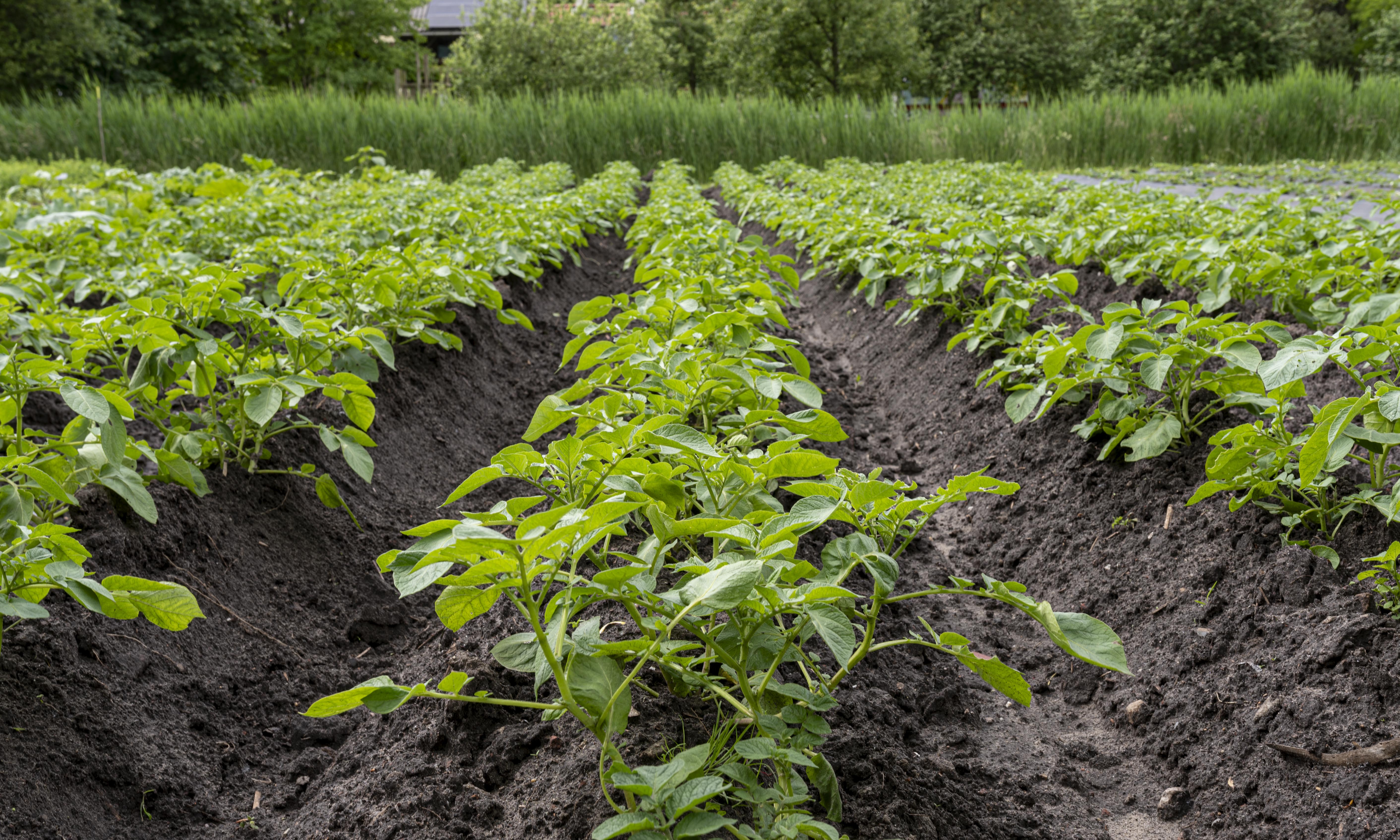 Lobbypunten Federatie van Agro-ecologische Boeren